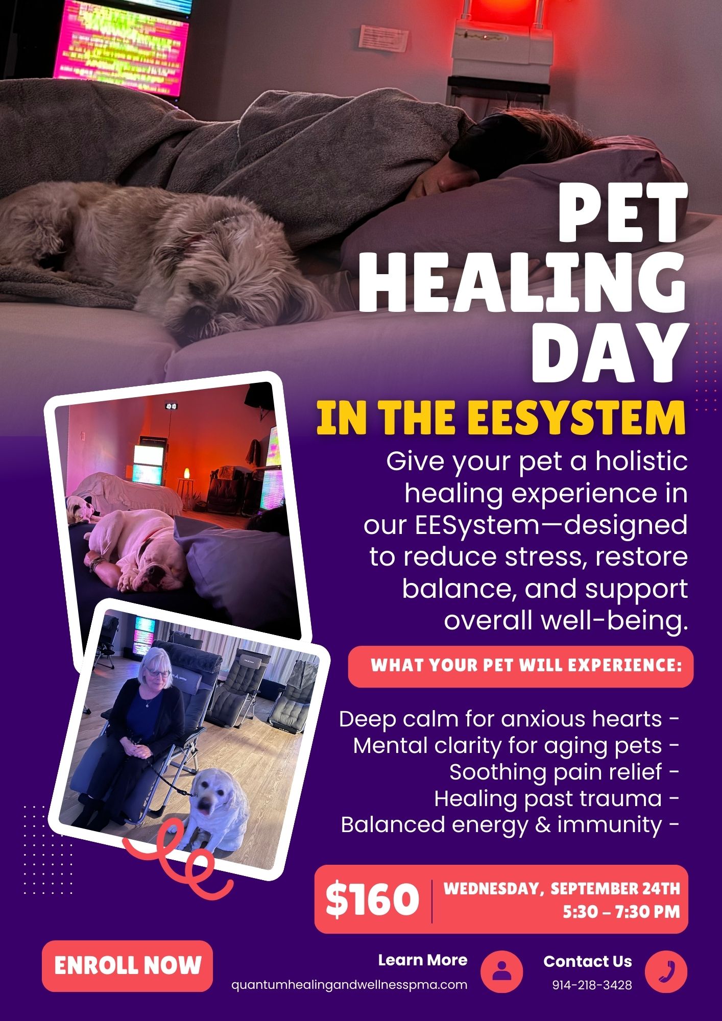 ???? Pet Healing Day in the EESystem
